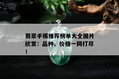 翡翠手镯推荐榜单大全图片欣赏：品种、价格一网打尽！