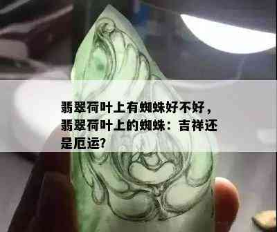 翡翠荷叶上有蜘蛛好不好，翡翠荷叶上的蜘蛛：吉祥还是厄运？