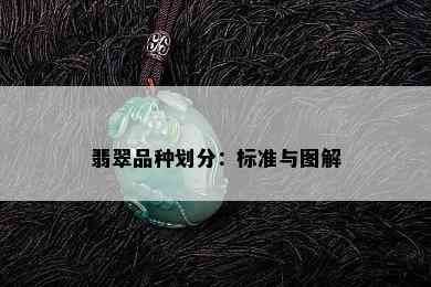 翡翠品种划分：标准与图解