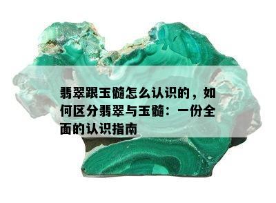 翡翠跟玉髓怎么认识的，如何区分翡翠与玉髓：一份全面的认识指南