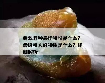 翡翠老种更佳特征是什么？最吸引人的特质是什么？详细解析