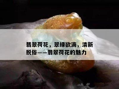 翡翠荷花，翠绿欲滴，清新脱俗——翡翠荷花的魅力