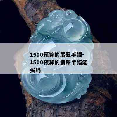 1500预算的翡翠手镯-1500预算的翡翠手镯能买吗