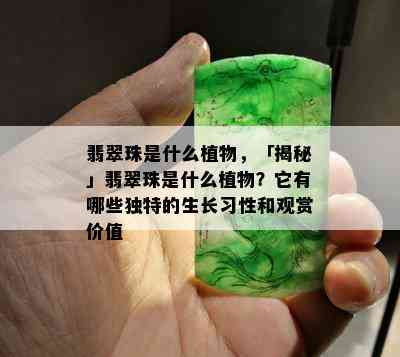 翡翠珠是什么植物，「揭秘」翡翠珠是什么植物？它有哪些独特的生长习性和观赏价值