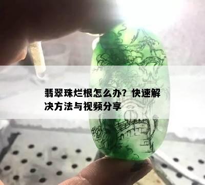 翡翠珠烂根怎么办？快速解决方法与视频分享