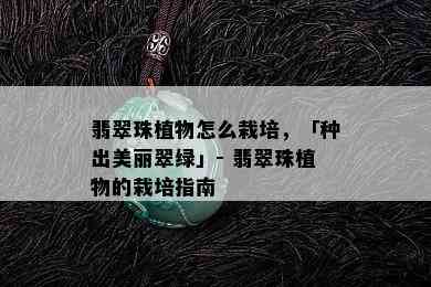 翡翠珠植物怎么栽培，「种出美丽翠绿」- 翡翠珠植物的栽培指南