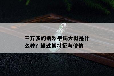 三万多的翡翠手镯大概是什么种？描述其特征与价值