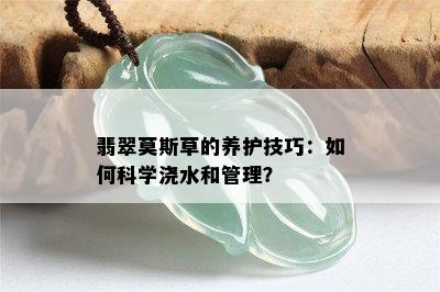 翡翠莫斯草的养护技巧：如何科学浇水和管理？