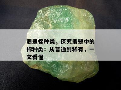 翡翠棉种类，探究翡翠中的棉种类：从普通到稀有，一文看懂