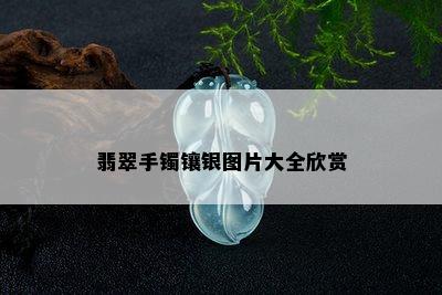 翡翠手镯镶银图片大全欣赏