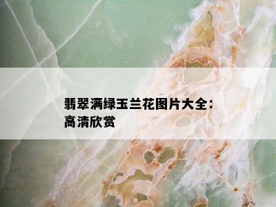 翡翠满绿玉兰花图片大全：高清欣赏