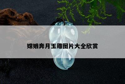 嫦娥奔月玉雕图片大全欣赏