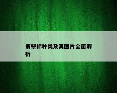 翡翠棉种类及其图片全面解析