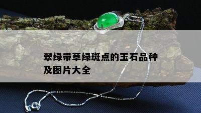 翠绿带草绿斑点的玉石品种及图片大全