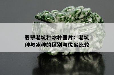 翡翠老坑种冰种图片：老坑种与冰种的区别与优劣比较