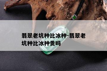 翡翠老坑种比冰种-翡翠老坑种比冰种贵吗