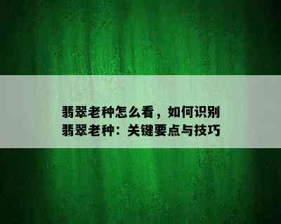 翡翠老种怎么看，如何识别翡翠老种：关键要点与技巧