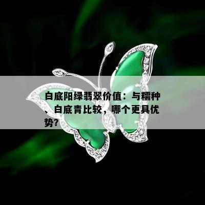 白底阳绿翡翠价值：与糯种、白底青比较，哪个更具优势？