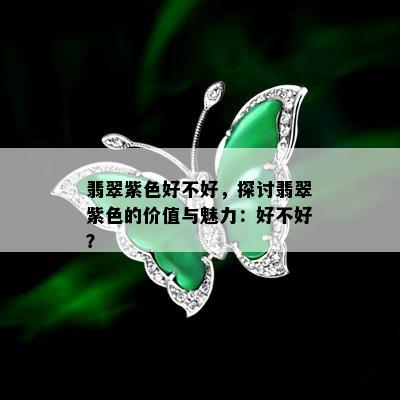 翡翠紫色好不好，探讨翡翠紫色的价值与魅力：好不好？