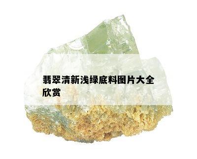 翡翠清新浅绿底料图片大全欣赏