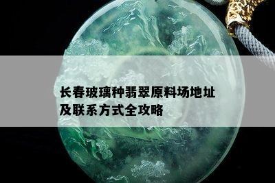 长春玻璃种翡翠原料场地址及联系方式全攻略