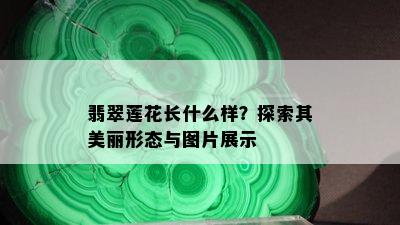 翡翠莲花长什么样？探索其美丽形态与图片展示