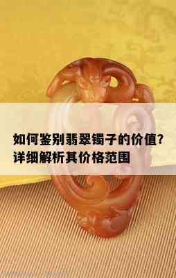 如何鉴别翡翠镯子的价值？详细解析其价格范围