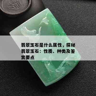 翡翠玉石是什么属性，探秘翡翠玉石：性质、种类及鉴赏要点