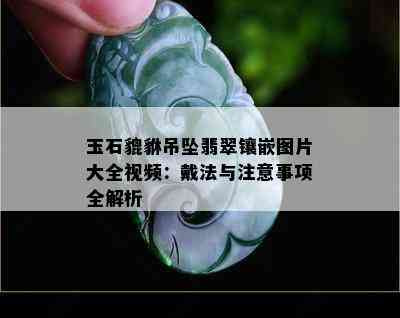 玉石貔貅吊坠翡翠镶嵌图片大全视频：戴法与注意事项全解析