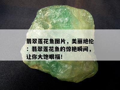 翡翠莲花鱼图片，美丽绝伦：翡翠莲花鱼的惊艳瞬间，让你大饱眼福！