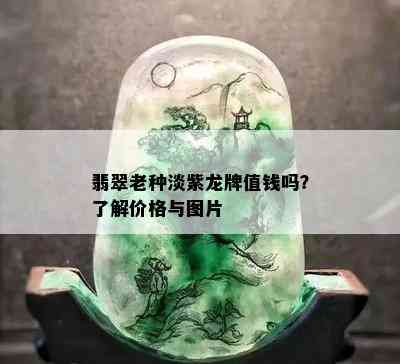 翡翠老种淡紫龙牌值钱吗？了解价格与图片