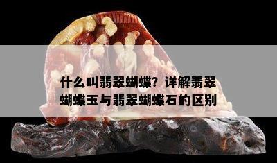 什么叫翡翠蝴蝶？详解翡翠蝴蝶玉与翡翠蝴蝶石的区别