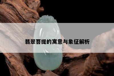 翡翠菩提的寓意与象征解析