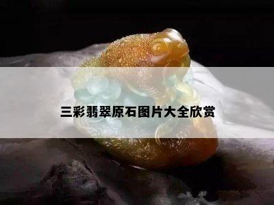 三彩翡翠原石图片大全欣赏