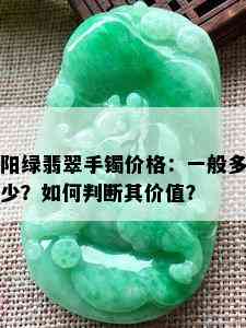 阳绿翡翠手镯价格：一般多少？如何判断其价值？