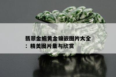 翡翠金蟾黄金镶嵌图片大全：精美图片集与欣赏