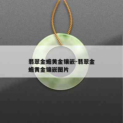 翡翠金蟾黄金镶嵌-翡翠金蟾黄金镶嵌图片