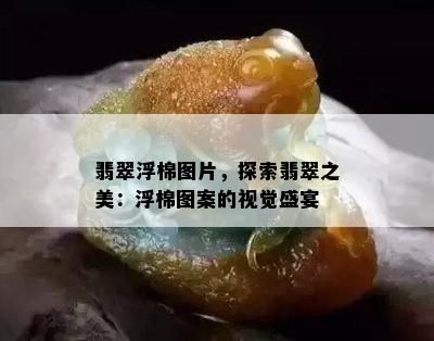 翡翠浮棉图片，探索翡翠之美：浮棉图案的视觉盛宴