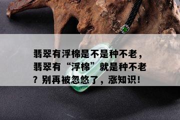 翡翠有浮棉是不是种不老，翡翠有“浮棉”就是种不老？别再被忽悠了，涨知识！