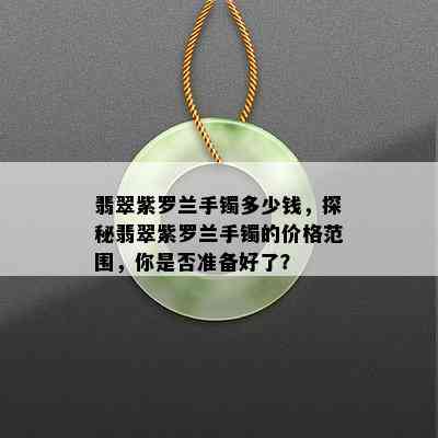 翡翠紫罗兰手镯多少钱，探秘翡翠紫罗兰手镯的价格范围，你是否准备好了？