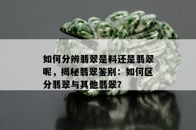 如何分辨翡翠是料还是翡翠呢，揭秘翡翠鉴别：如何区分翡翠与其他翡翠？