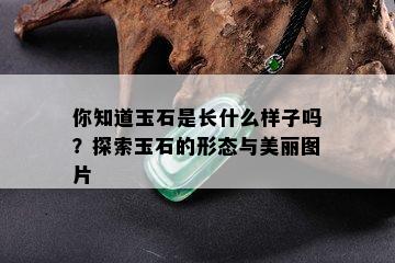 你知道玉石是长什么样子吗？探索玉石的形态与美丽图片