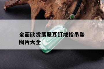 全面欣赏翡翠耳钉戒指吊坠图片大全