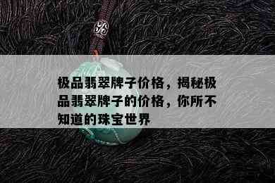 极品翡翠牌子价格，揭秘极品翡翠牌子的价格，你所不知道的珠宝世界