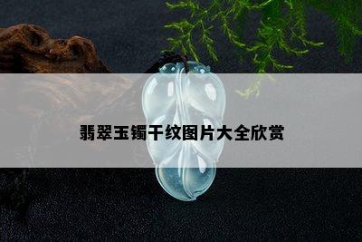 翡翠玉镯干纹图片大全欣赏