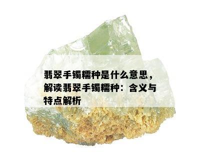 翡翠手镯糯种是什么意思，解读翡翠手镯糯种：含义与特点解析