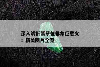 深入解析翡翠貔貅象征意义：精美图片全览