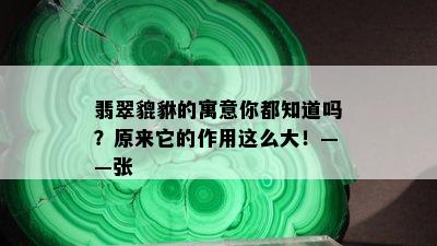 翡翠貔貅的寓意你都知道吗？原来它的作用这么大！——张