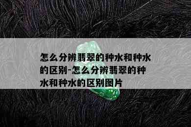 怎么分辨翡翠的种水和种水的区别-怎么分辨翡翠的种水和种水的区别图片