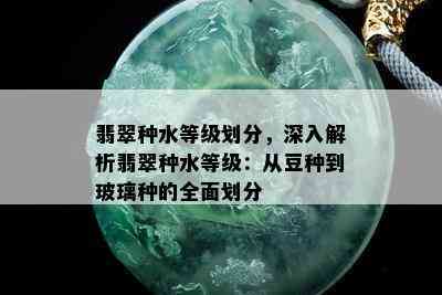 翡翠种水等级划分，深入解析翡翠种水等级：从豆种到玻璃种的全面划分